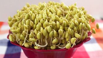Hình ảnh bí quyết trị nám đơn giản dành cho giáo viên trung học