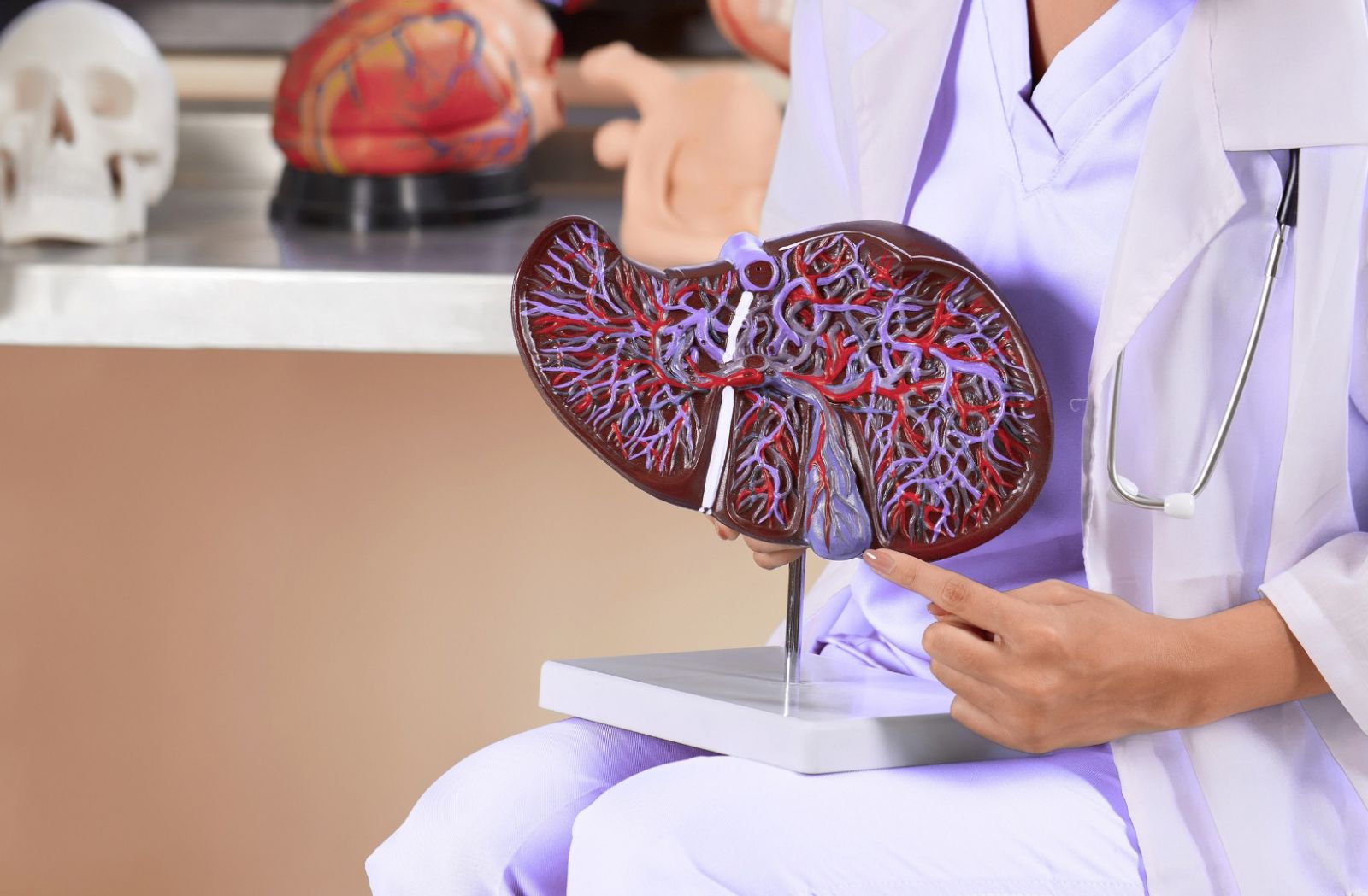 Hormone nữ liên quan đến sức khỏe gan