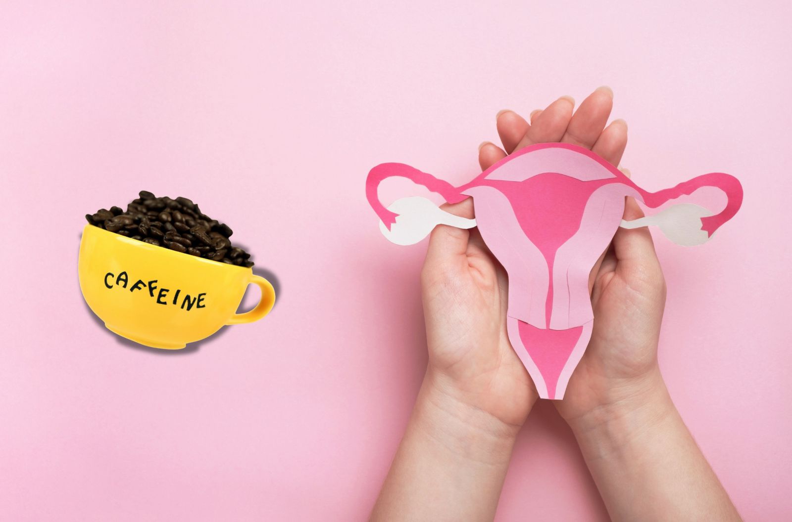 Caffeine có ảnh hưởng đến hormone sinh sản nữ không?