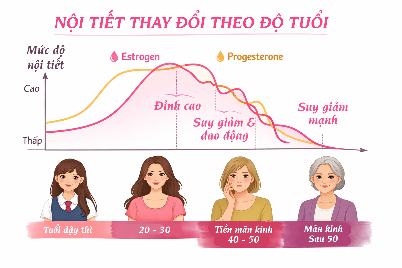 Nội tiết tố nữ thay đổi thế nào sau mãn kinh?