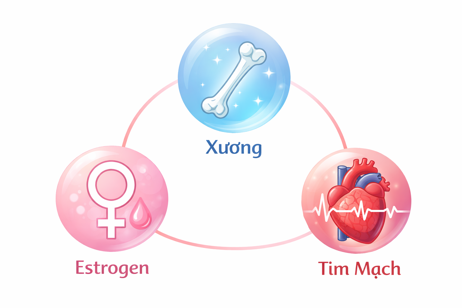 Nội tiết ảnh hưởng trực tiếp đến nhiều cơ quan