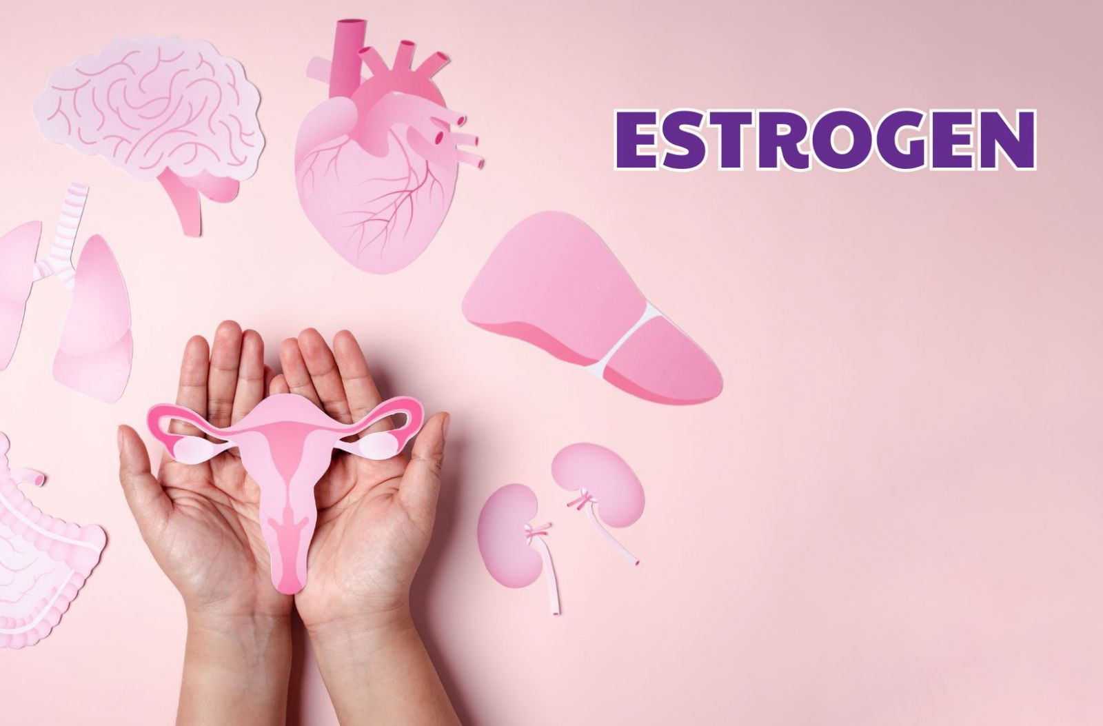 Estrogen thay đổi có thể ảnh hưởng đến trí nhớ và sự tập trung